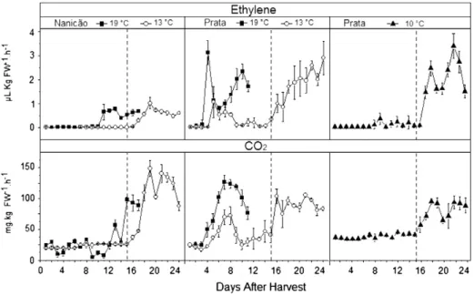 Fig. 1 shows the ethylene and CO 2 production of both cultivars under different storage conditions
