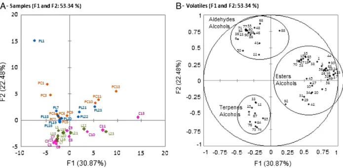 Fig. 5. Principal component analysis of the banana volatile compounds from cv. Prata. Sample code: P=pulp from control group (19 °C) in red color; PL= pulp from cold group (low temperature, 10 °C) in blue color