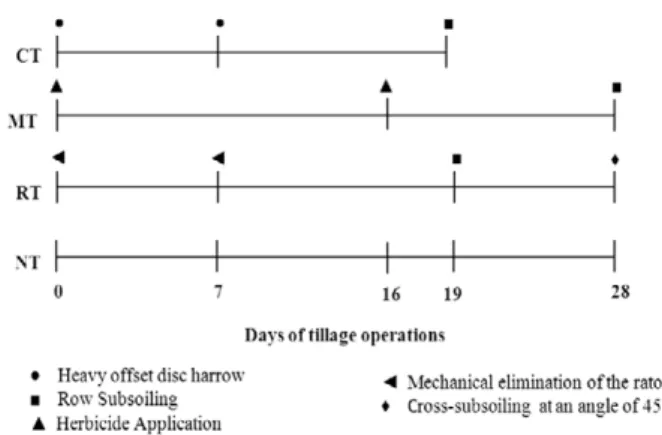 Figure 2. Soil temperature and precipitation under different systems of tillage during the study period