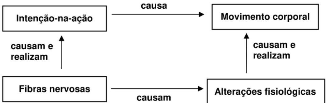 Figura 2.1. Esquema da causação mental. Em um nível sistêmico, o movimento corporal é causado e  realizado  pela  intenção-na-ação  e  as  alterações  fisiológicas  são  causadas  e  realizadas  pelas  fibras  nervosas