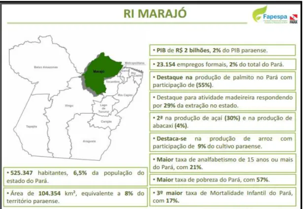Figura 4 - Características demográficas da Região de Integração (RI) do Marajó  