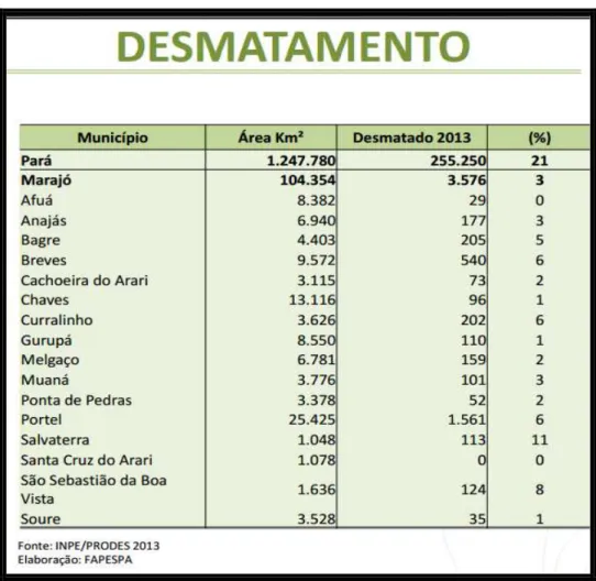 Figura 5 - Taxa de desmatamento na RI do Marajó 