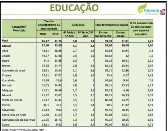 Figura 7 - Taxa de analfabetismo da Região de Integração (RI) do Marajó  