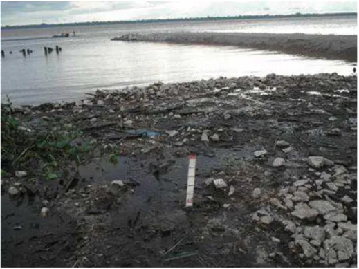 Foto 4: Nível do Rio Guamá em Declínio - 16:00h do dia 21/03/2007. 