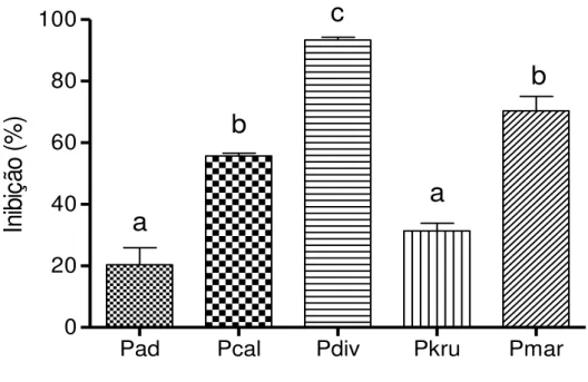 Figura 7  –  Efeito inibitório dos óleos essenciais de Piper spp na concentração  de 5 mg.mL -1  sobre o crescimento micelial de F