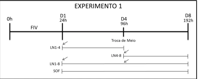 Figura 5: Esquema do experimento 1 mostrando os períodos de adição de L-NAME no cultivo  in  vitro: de D1 até D4 (LN1-4), de D4 até D8 (LN4-8), e ao longo de todo o período de cultivo, D1 a  D8 (LN1-8)