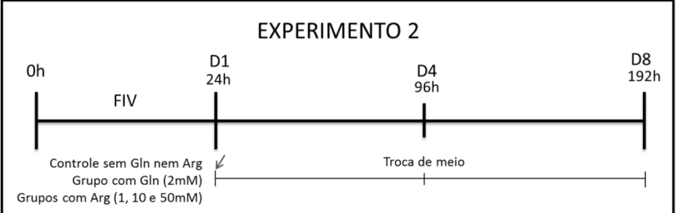 Figura  6:  Esquema  do  experimento  2  mostrando  o  grupo  controle  sem  L-glutamina  (Gln)  nem  Arginina (Arg), e os grupos experimentais contendo Gln (2mM) e Arg em diferentes concentrações  (1,  10  e  50mM)  adicionadas  desde  o  1º  dia  de  cul