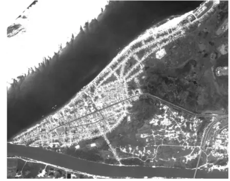 Figura 10: Imagem de satélite do Núcleo Velha Marabá.