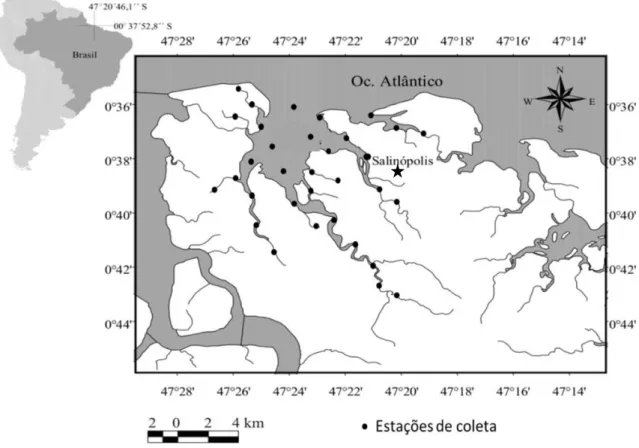Figura 4 - Localização da área de estudo (Baía de Salinópolis, município de Salinópolis  (   ), Zona Costeira Amazônica, Brasil), ilustrando as 33 estações de coleta da ictiofauna  nos período de chuva e estiagem de 2011