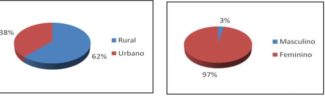 Gráfico 1 - Local de origem dos entrevistados  Gráfico 2  –  Distribuição dos entrevistados por                 Gênero 