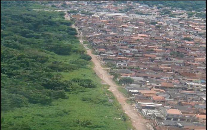 Figura 11: Vista aérea da vegetação remanescente na microbacia do igarapé Val-de- Val-de-Cães e as moradias do conjunto residencial CDP, mostrando o avanço da população sob a mata ciliar.