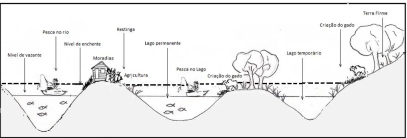 Figura 3 - Desenho da Várzea Amazônica 