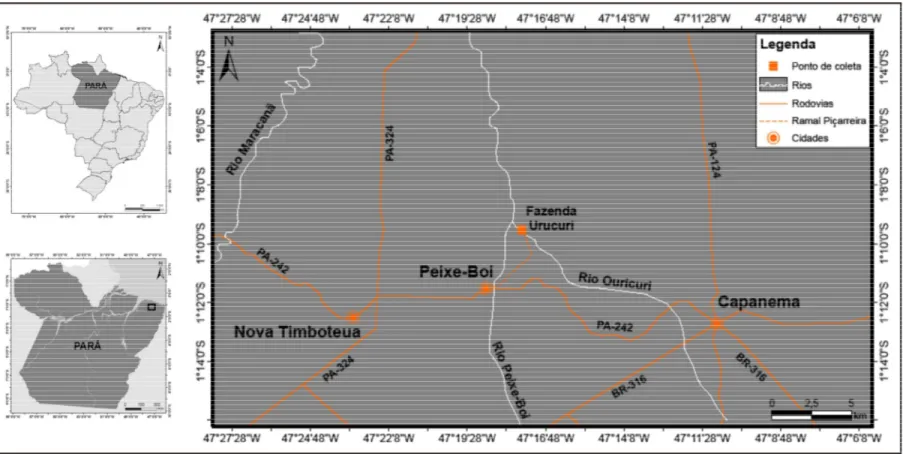 Fig. 5. Localização da Fazenda Urucuri, Peixe-Boi, Pará, local de realização da coleta dos anofelinos