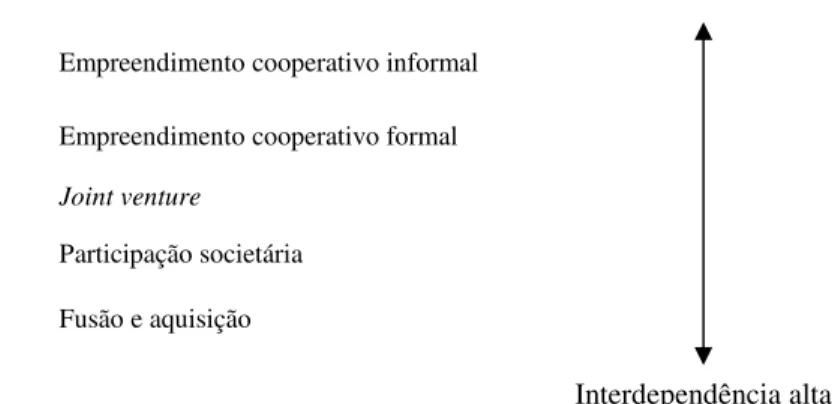 Figura 2.3 – Opções de alianças estratégicas em termos do grau de interdependência de recursos  Fonte: Lorange &amp; Roos (1996, p