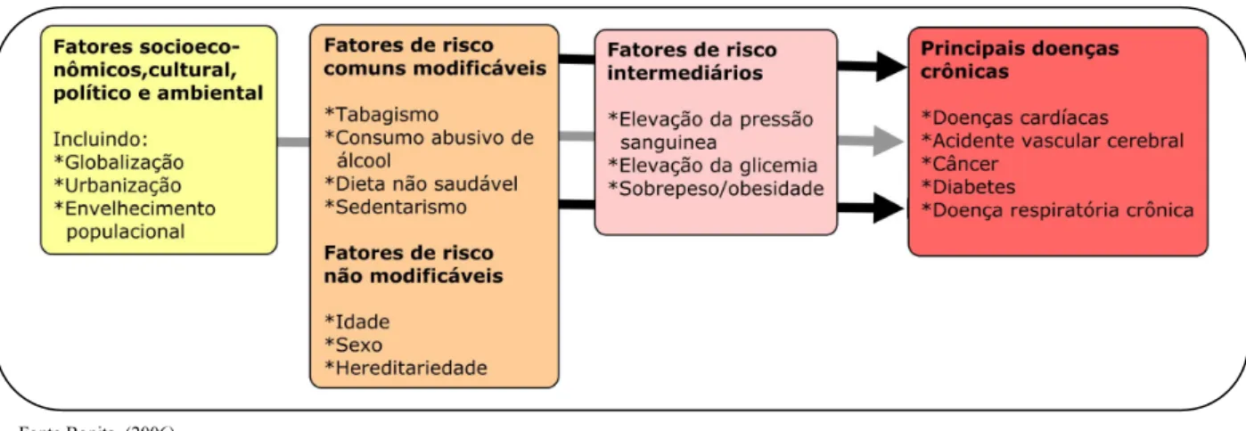 Figura 1. Determinantes subjacentes da saúde e seu impacto sobre as doenças crônicas, 2012