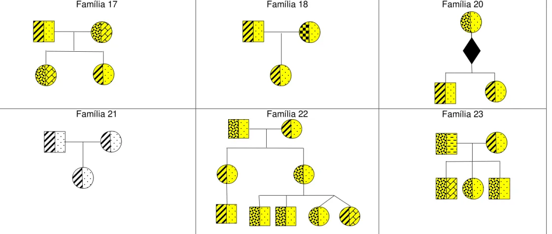 Figura 8 - Genealogia de 48 famílias estudadas para associação pela H. pylori com os antígenos de grupos sanguíneos ABO e Lewis da  comunidade Beira Rio residentes às margens do rio Tocantins em Imperatriz - MA (2012).