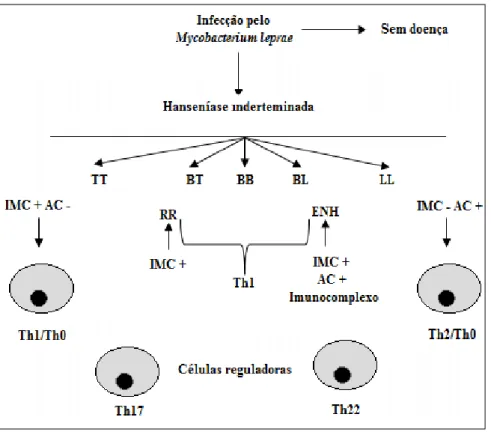 Figura 1: Fatores imunológicos no espectro da hanseníase (Classificação de Ridley e  Jopling) e reações hansênicas