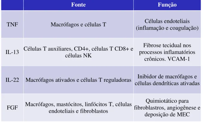 Figura 3: Fonte e função do TNF, IL-13, IL-22 e FGF  