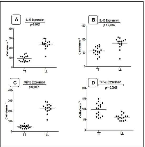 Figura 7: Análise quantitativa para a imunomarcação de IL-22, IL-13, TNF-α e FGF b nas  lesões de pacientes TT e VV