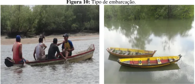 Figura 10: Tipo de embarcação. 