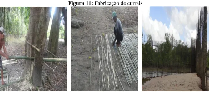 Figura 11: Fabricação de currais 