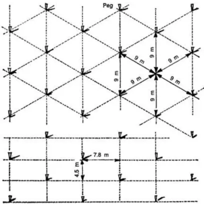 Figura 3.3-5  –  Esquema demonstrativo do espaçamento para cultivo de palma de óleo. 