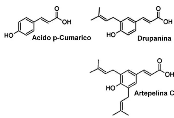 Figura 3 – Alguns compostos fenólicos presentes na própolis (CHANG et al. 2008). 