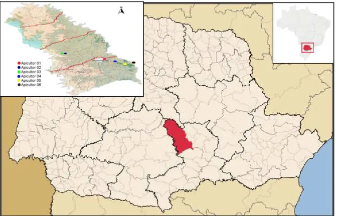 Figura  7 –  Mapa  do  estado  do  Paraná, localizado  ao  sul  do  Brasil,  com  a  região  de  Prudentópolis,  localizada no sudeste do estado, e os locais de coleta da geoprópolis