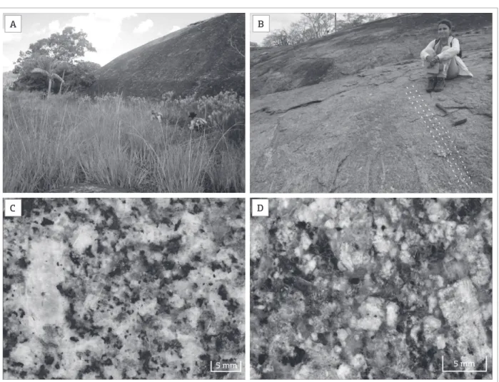 Figure 3. Field and petrographic aspect of the MG. (A) Geomorphological aspect of floodplain occurrences