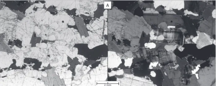 Figure 7. Photomicrograph of the MG rocks showing foliation (S 1 ) provided by the preferential arrangement of  the minerals (micas) and prismatic minerals (plagioclase and alkali feldspar) as well as their discrete flattening