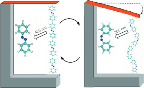 Figura 4: Ilustração do efeito alostérico provocado pela coordenação de íons de zinco aos grupos aminas, levando à  apro-ximação dos anéis benzênicos da molécula cíclica original, com um aumento de 100 vezes na eficiência de inclusão da  sulfo-namida orgân