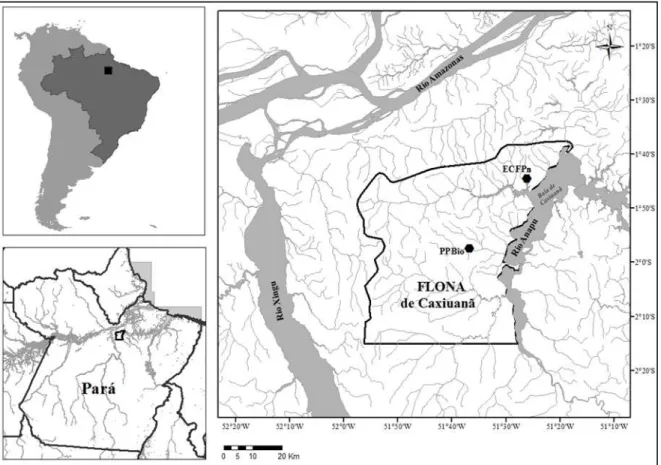 Figura 1. Mapa da área mostrando a localização da Floresta Nacional de Caxiuanã, onde  estão  localizados  os  pontos  amostrados  (PPBio  e  ECFPn),  nos  municípios  de  Melgaço  e  Portel, Estado do Pará, Brasil