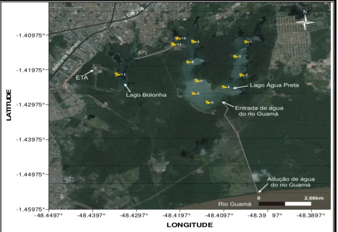 Figura 6 - Localização dos pontos de coleta nos lagos Bolonha e Água Preta   Fonte: Lagos..