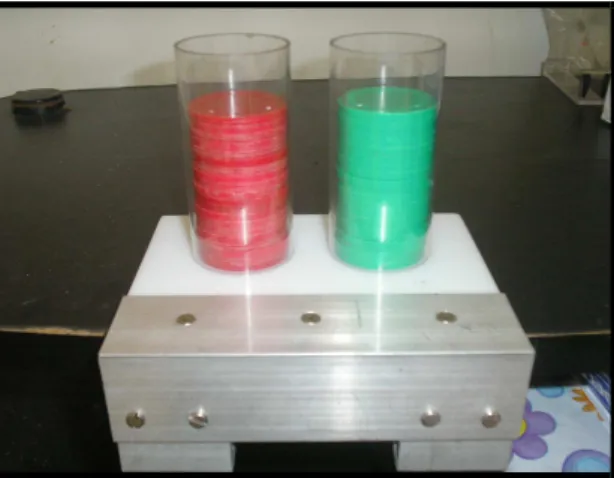 Figura  2.  Tubos  onde  as  fichas  plásticas  eram  inseridas  pela  experimentadora  após  respostas corretas