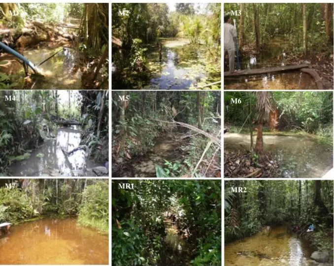Figura 8 - Pontos de amostragem das microbacias selecionadas para o estudo hidrogeoquímico na bacia do Rio  Marapanim