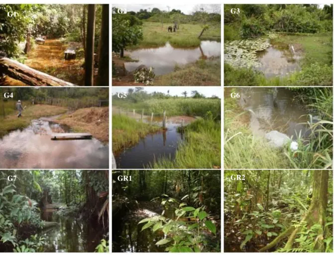Figura 9 - Pontos de amostragem das microbacias selecionadas para o estudo hidrogeoquímico na bacia do Rio  Guamá
