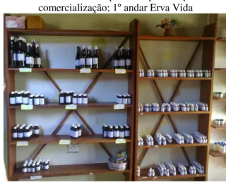 Foto 8 - Compostos fitoterápicos de mel e babosa   prontos para a comercialização, 1º andar Erva Vida 