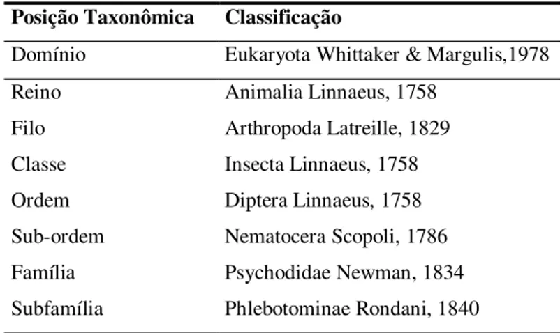 Tabela 3 – Classificação geral de flebotomíneos ao nível de subfamília,   segundo Young e Duncan, 1994