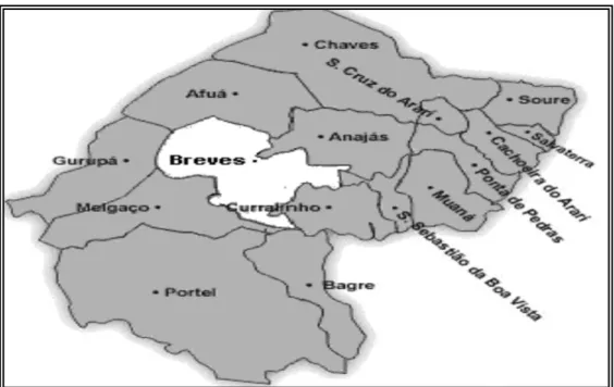 Figura 1: Mapa da mesorregião do Marajó. 