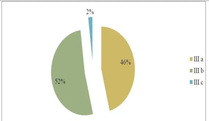 FIGURA 7  –  Percentual por Estadiamento das Pacientes Analisadas. 