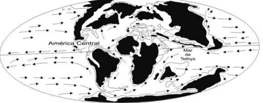 Figura 2 - Mar Tethys, o principal ponto de origem e corredor  natural para dispersão dos elementos marinhos que ocuparam  a Província Biogeográfica Caribeana no Paleógeno e  Neóge-no, formas ancestrais das biotas atlânticas modernas  (modifi-cado de Schwe