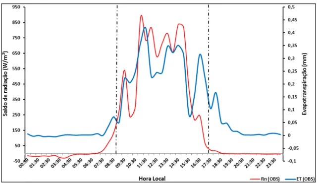 Figura 6.9 - Variação horária do saldo de radiação (linha vermelha) e evapotranspiração por  eddy correlation (linha azul) para o dia 065