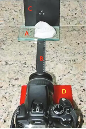 Figure 2 - Plaster molds used in the sampling.