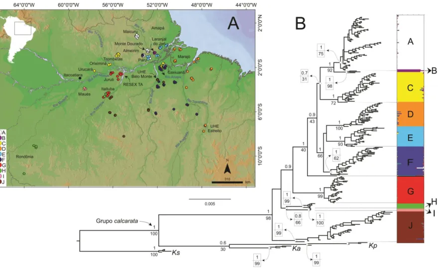 Figura  7  –  A)  Distribuição  geográfica  das  amostras  utilizadas  neste  trabalho