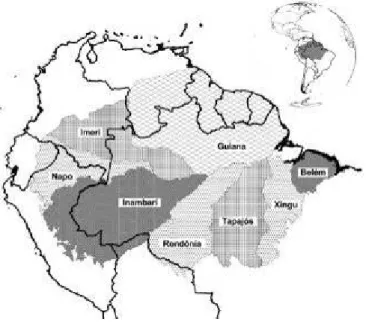 Figura 1. Localização das oito áreas de endemismo reconhecidas para vertebrados terrestres  na Amazônia