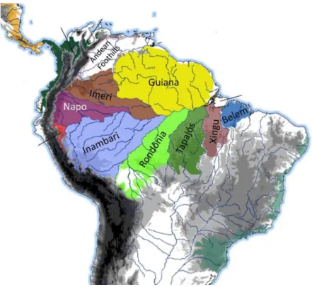 Figura  4.  Hipótese  de  áreas  de  endemismo  para  o  bioma  Amazônico.  Ilustração  modificada  de SMITH et al