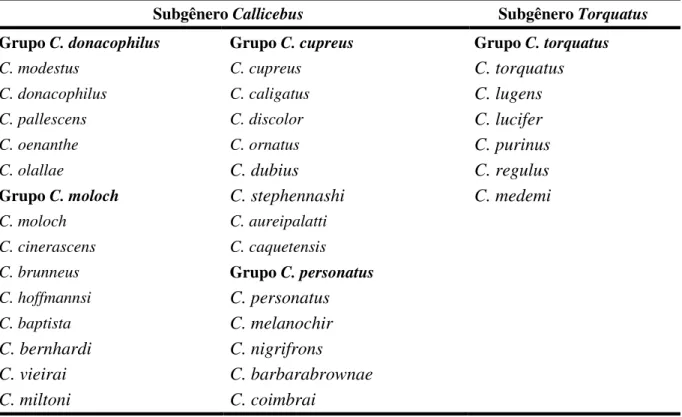 Tabela 1. Classificação taxonômica do gênero Callicebus (Groves, 2001; Silva Júnior et al., 2007)