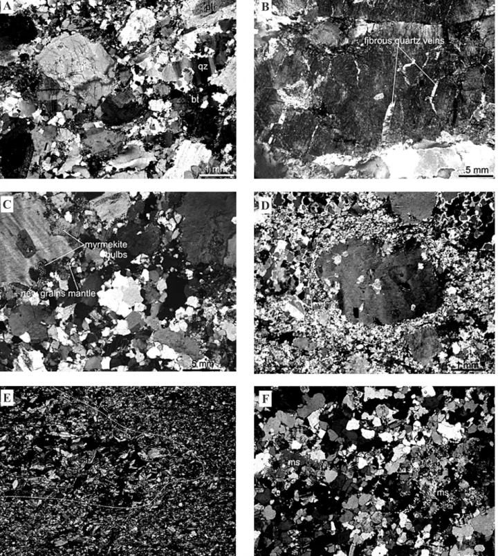 Figure 7 – Microtextural features of studied pluton-related metamorphic rocks. (A) Less deformed rocks of  the study area