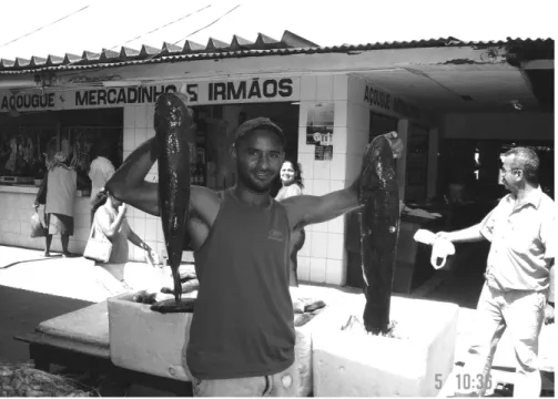 Figura  4  -  Vendedor  exibe  pescados  na  Feira  Livre  de  Altamira,    05/08/2005  (6ª  feira).