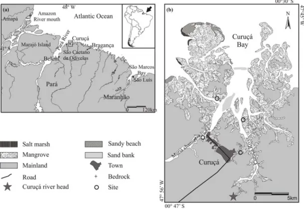 Figure  1  -  (a)  Coast  of  the  states  Pará  and  Maranhão,  north  Brazil;  (b)  location  of  the  Curuçá  estuary on the southern edge of the Pará River mouth